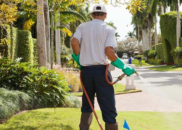 About Fort Bragg NC Pest Control